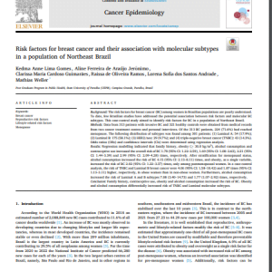 Risk factors for breast cancer and their association with molecular subtypes in a population of Northeast Brazil