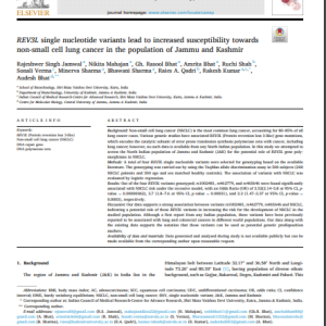 REV3L single nucleotide variants lead to increased susceptibility towards non-small cell lung cancer in the population of Jammu and Kashmir